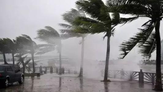 8月臺(tái)風(fēng)雨即將來(lái)，除濕機(jī)還得用起來(lái)