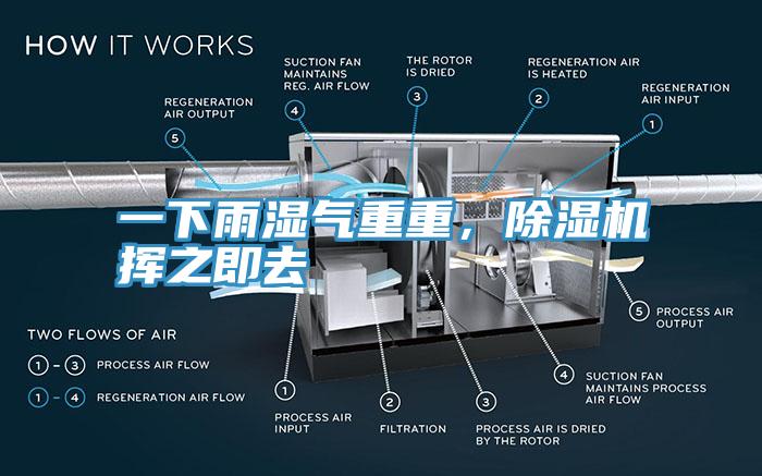 一下雨濕氣重重，除濕機(jī)揮之即去