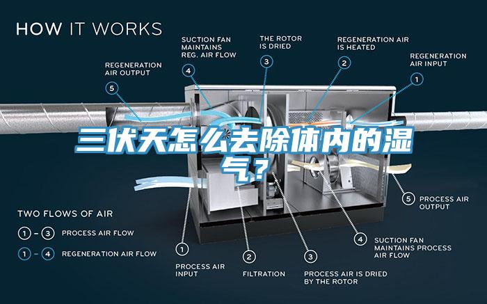 三伏天怎么去除體內的濕氣？