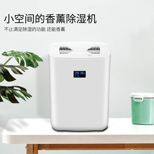 清明過后，潮氣噠噠，怎么除潮？