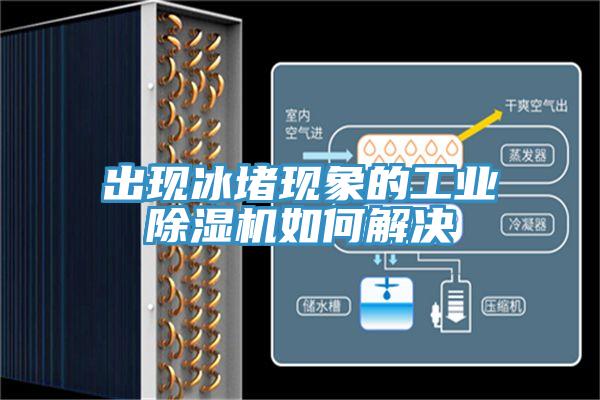 出現(xiàn)冰堵現(xiàn)象的工業(yè)除濕機如何解決