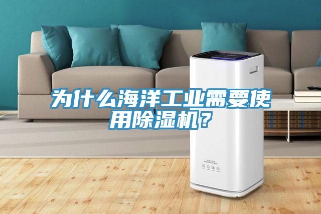 為什么海洋工業(yè)需要使用除濕機(jī)？