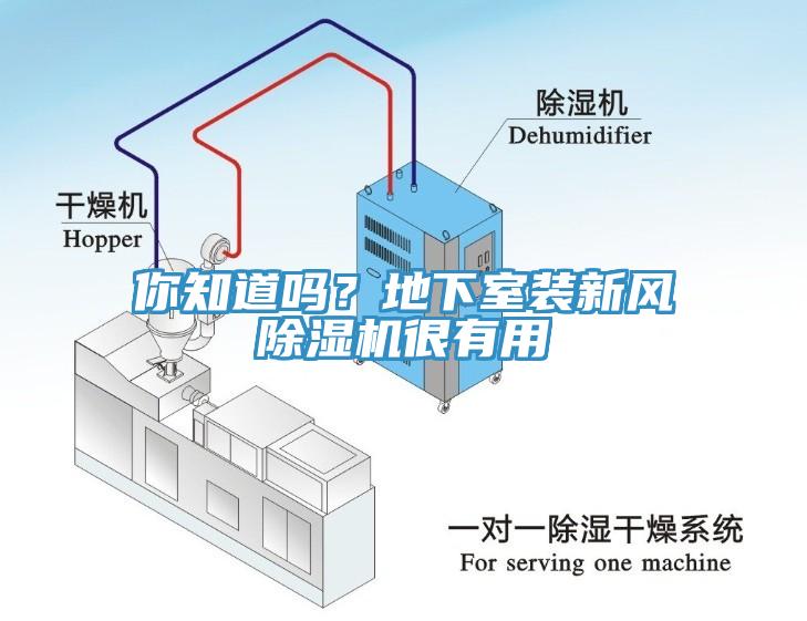 你知道嗎？地下室裝新風(fēng)除濕機(jī)很有用