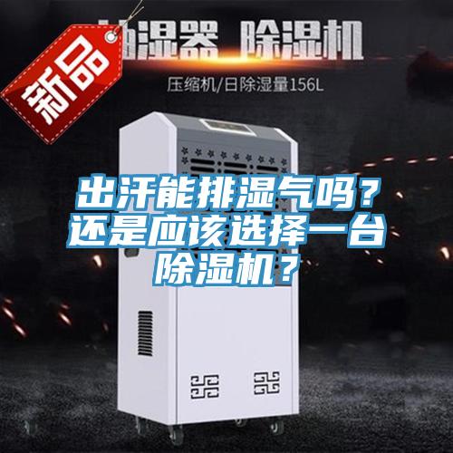 出汗能排濕氣嗎？還是應(yīng)該選擇一臺除濕機？