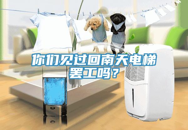 你們見過回南天電梯罷工嗎？