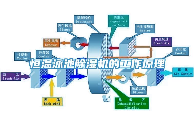 恒溫泳池除濕機的工作原理