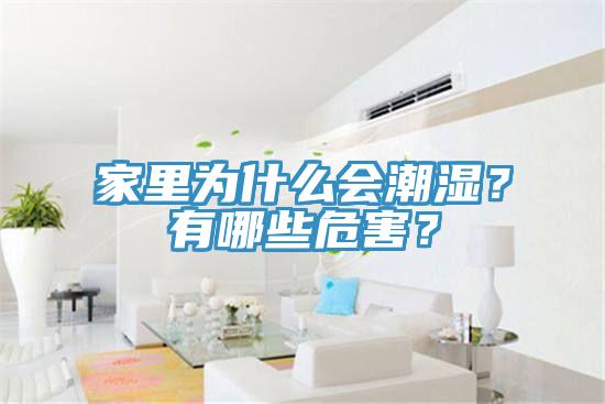 家里為什么會(huì)潮濕？有哪些危害？