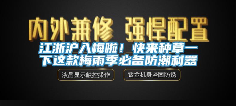 江浙滬入梅啦！快來種草一下這款梅雨季必備防潮利器