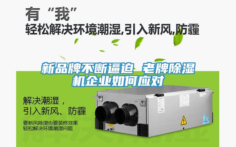 新品牌不斷逼迫 老牌除濕機企業(yè)如何應(yīng)對