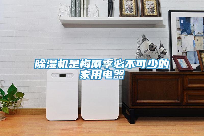 除濕機是梅雨季必不可少的家用電器