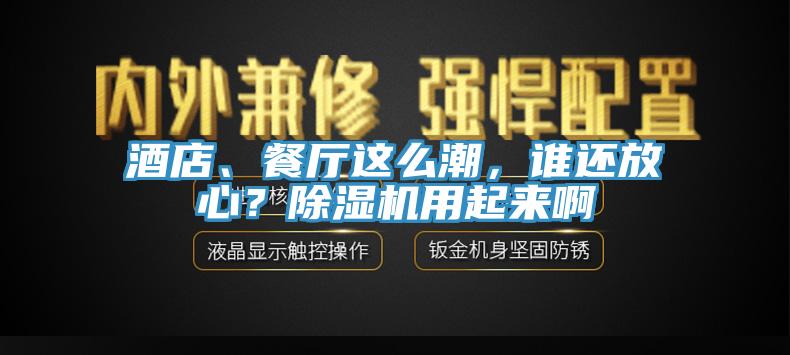 酒店、餐廳這么潮，誰還放心？除濕機用起來啊