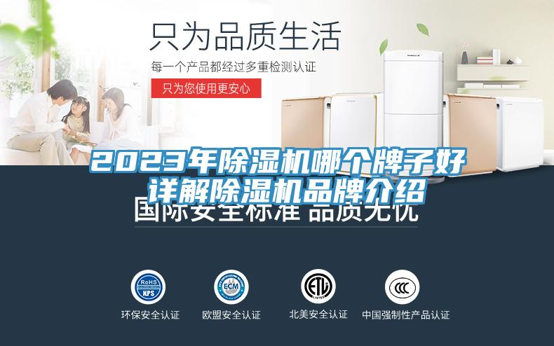 2023年除濕機哪個牌子好 詳解除濕機品牌介紹