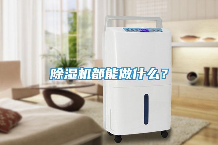 除濕機都能做什么？