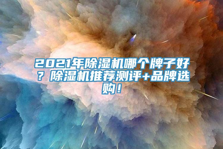 2021年除濕機哪個牌子好？除濕機推薦測評+品牌選購！