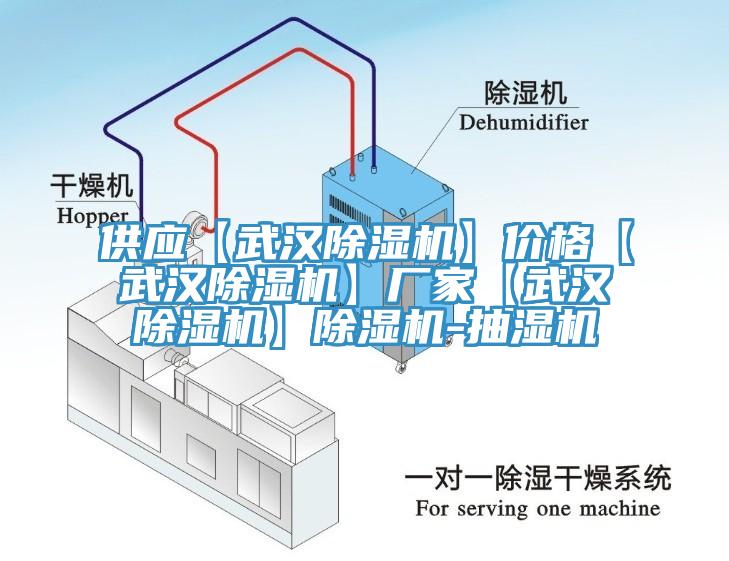 供應(yīng)【武漢除濕機(jī)】價(jià)格【武漢除濕機(jī)】廠家【武漢除濕機(jī)】除濕機(jī)-抽濕機(jī)