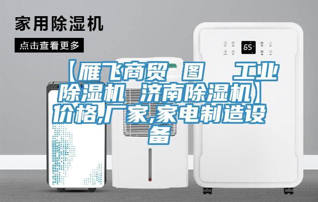 【雁飛商貿(mào) 圖  工業(yè)除濕機 濟南除濕機】價格,廠家,家電制造設備