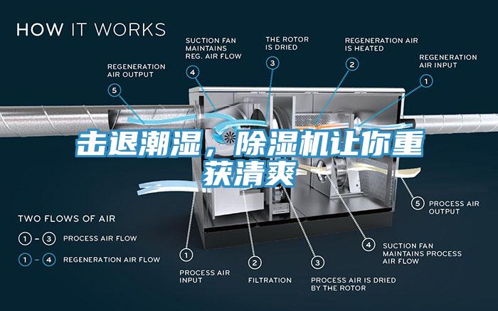 擊退潮濕，除濕機讓你重獲清爽