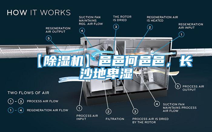 【除濕機】邑邑何邑邑，長沙地卑濕