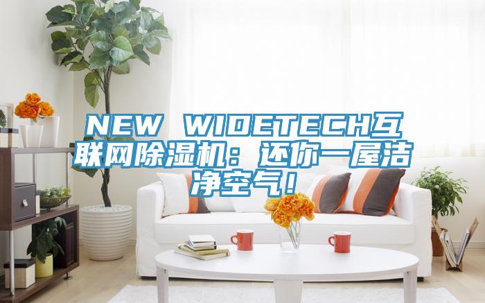 NEW WIDETECH互聯(lián)網(wǎng)除濕機：還你一屋潔凈空氣！