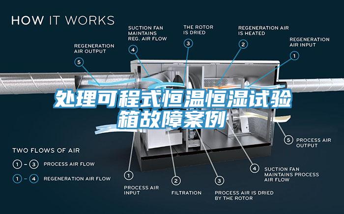 處理可程式恒溫恒濕試驗(yàn)箱故障案例