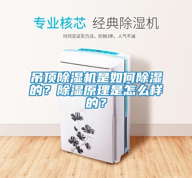 吊頂除濕機是如何除濕的？除濕原理是怎么樣的？