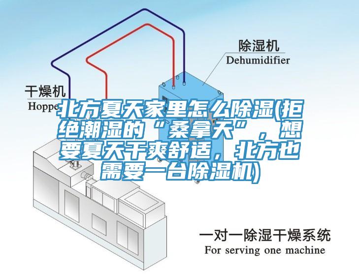 北方夏天家里怎么除濕(拒絕潮濕的“桑拿天”，想要夏天干爽舒適，北方也需要一臺除濕機)