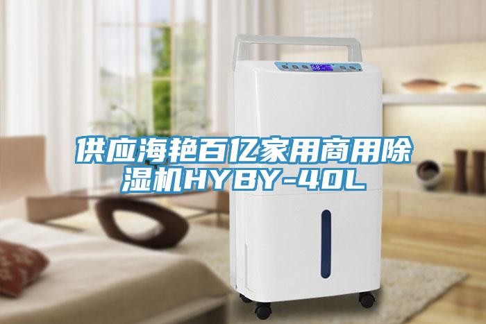 供應海艷百億家用商用除濕機HYBY-40L