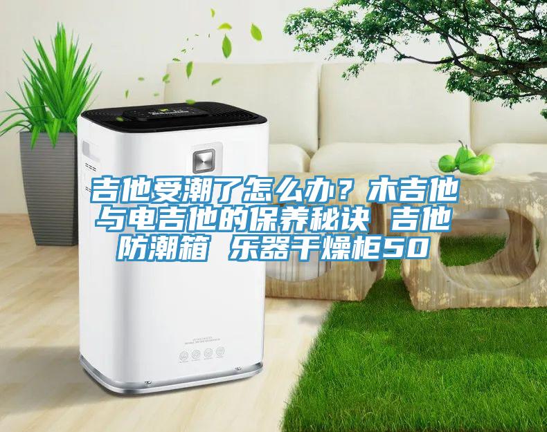 吉他受潮了怎么辦？木吉他與電吉他的保養(yǎng)秘訣 吉他防潮箱 樂器干燥柜50