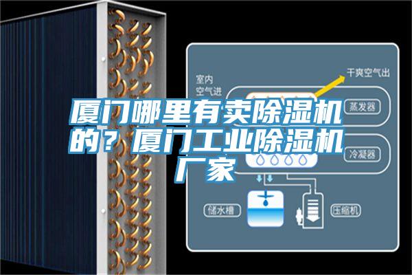 廈門哪里有賣除濕機的？廈門工業(yè)除濕機廠家