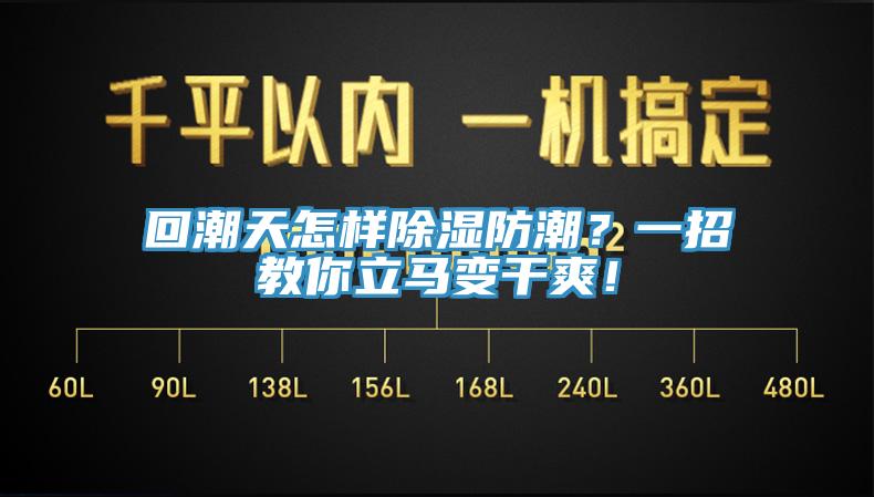 回潮天怎樣除濕防潮？一招教你立馬變干爽！