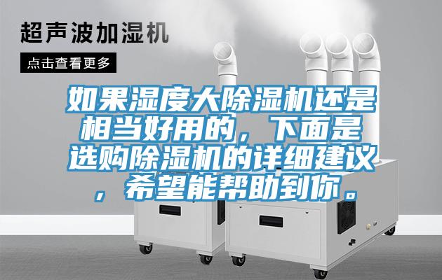 如果濕度大除濕機還是相當好用的，下面是選購除濕機的詳細建議，希望能幫助到你。