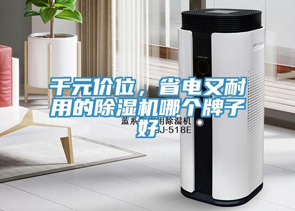 千元價位，省電又耐用的除濕機(jī)哪個牌子好