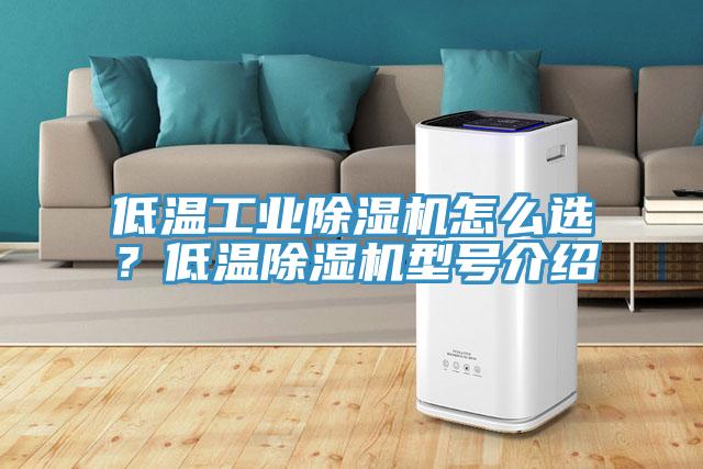 低溫工業(yè)除濕機怎么選？低溫除濕機型號介紹