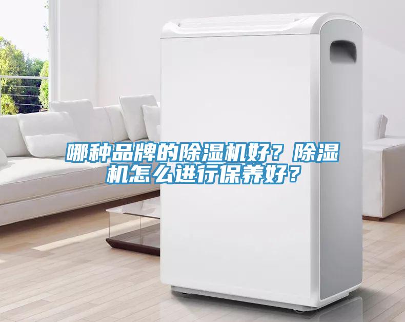 哪種品牌的除濕機好？除濕機怎么進行保養(yǎng)好？