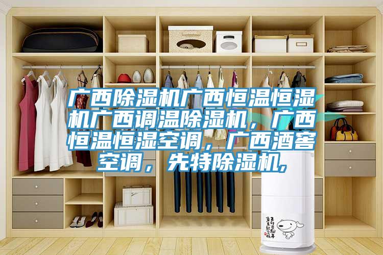 廣西除濕機廣西恒溫恒濕機廣西調溫除濕機，廣西恒溫恒濕空調，廣西酒窖空調，先特除濕機,