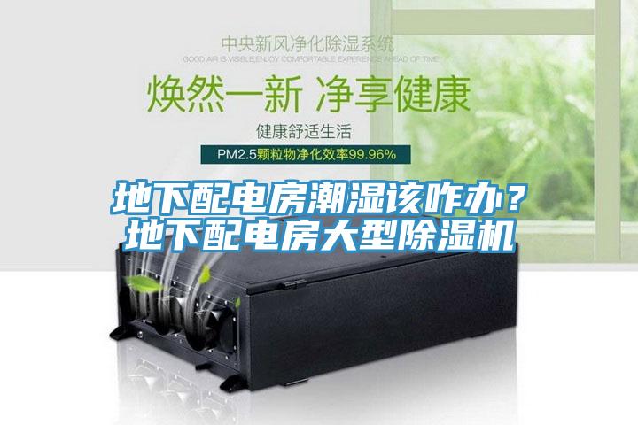 地下配電房潮濕該咋辦？地下配電房大型除濕機(jī)