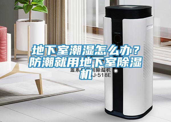 地下室潮濕怎么辦？防潮就用地下室除濕機(jī)