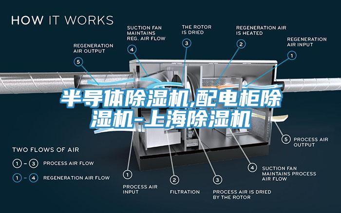 半導體除濕機,配電柜除濕機-上海除濕機