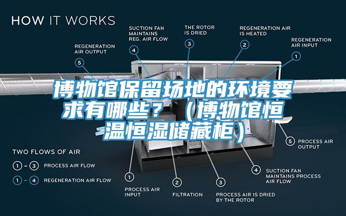 博物館保留場地的環(huán)境要求有哪些？（博物館恒溫恒濕儲藏柜）