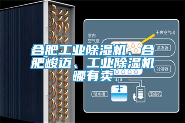 合肥工業(yè)除濕機、合肥峻邁、工業(yè)除濕機哪有賣