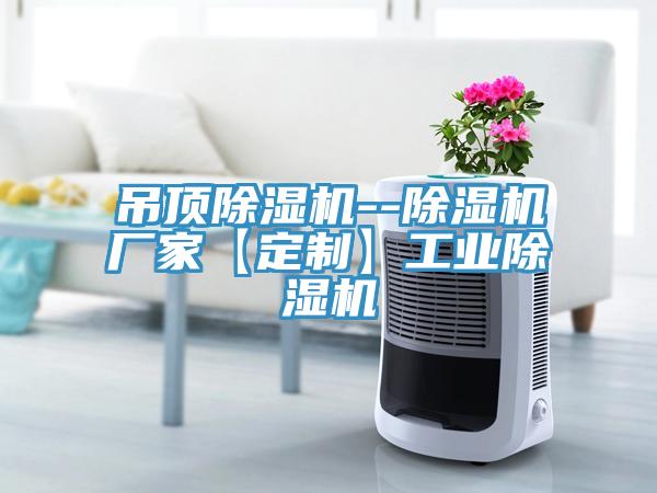 吊頂除濕機--除濕機廠家【定制】工業(yè)除濕機