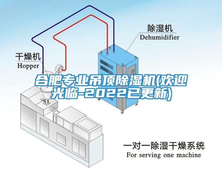 合肥專(zhuān)業(yè)吊頂除濕機(jī)(歡迎光臨-2022已更新)