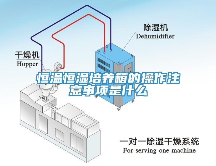 恒溫恒濕培養(yǎng)箱的操作注意事項(xiàng)是什么