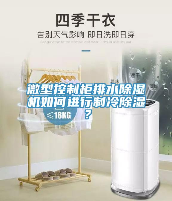 微型控制柜排水除濕機(jī)如何進(jìn)行制冷除濕？