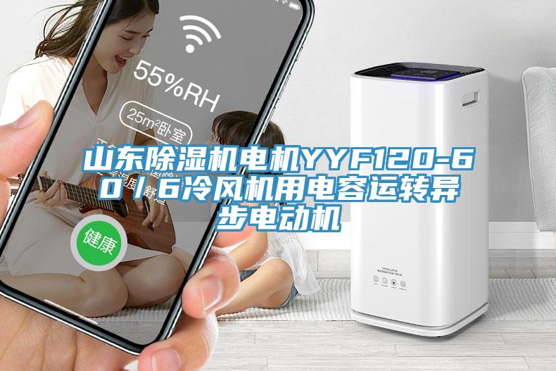 山東除濕機電機YYF120-60／6冷風(fēng)機用電容運轉(zhuǎn)異步電動機