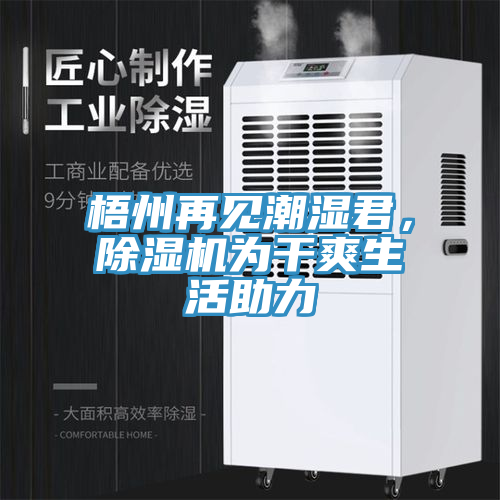 梧州再見(jiàn)潮濕君，除濕機(jī)為干爽生活助力