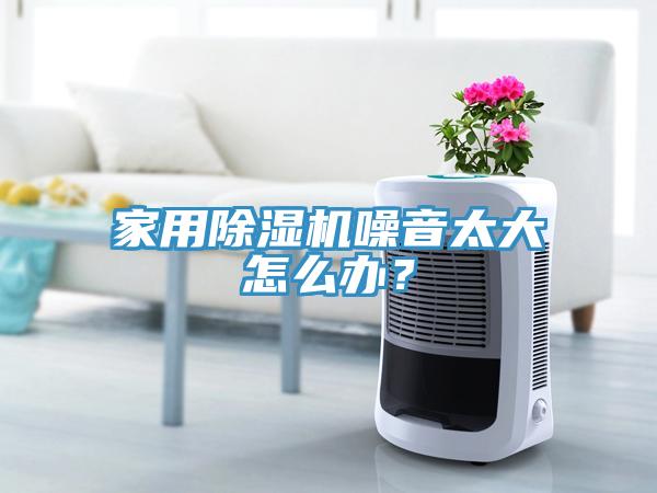 家用除濕機噪音太大怎么辦？