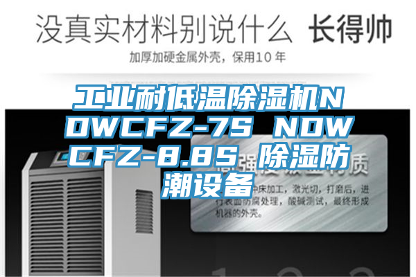 工業(yè)耐低溫除濕機NDWCFZ-7S NDWCFZ-8.8S 除濕防潮設備