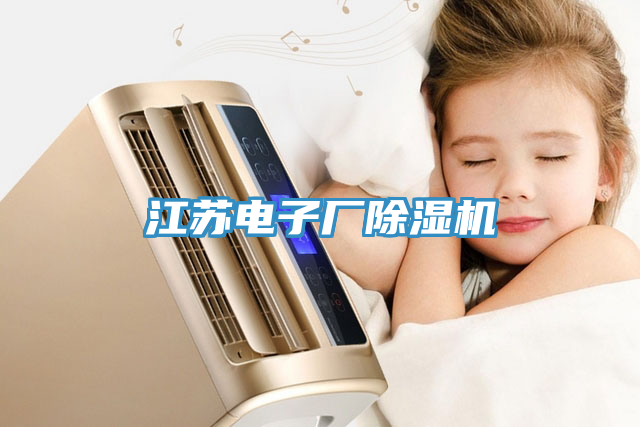 江蘇電子廠除濕機(jī)