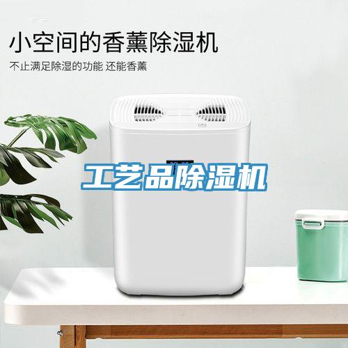 工藝品除濕機